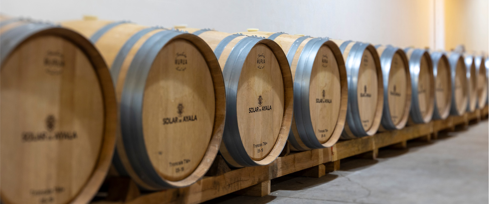 La esencia del vino en Rioja Alavesa