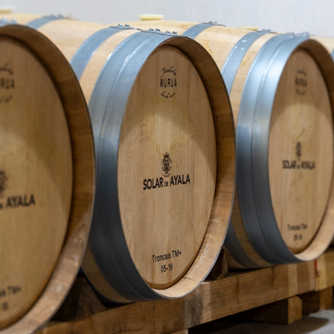 La esencia del vino en Rioja Alavesa
